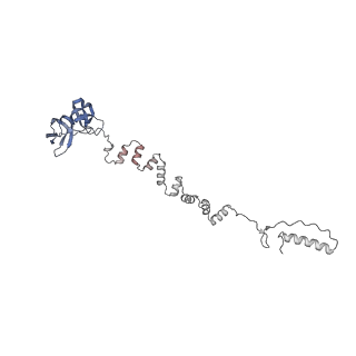 4681_6qz0_6o_v1-0
The cryo-EM structure of the head of the genome empited bacteriophage phi29