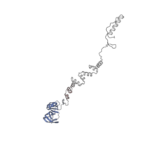 4681_6qz0_6t_v1-0
The cryo-EM structure of the head of the genome empited bacteriophage phi29