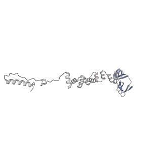 4681_6qz0_6u_v1-0
The cryo-EM structure of the head of the genome empited bacteriophage phi29