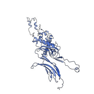 4681_6qz0_7E_v1-0
The cryo-EM structure of the head of the genome empited bacteriophage phi29