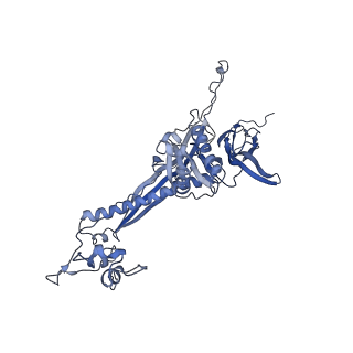 4681_6qz0_7N_v1-0
The cryo-EM structure of the head of the genome empited bacteriophage phi29