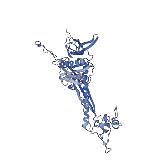 4681_6qz0_7S_v1-0
The cryo-EM structure of the head of the genome empited bacteriophage phi29