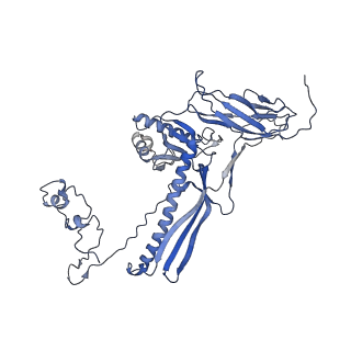 4681_6qz0_7V_v1-0
The cryo-EM structure of the head of the genome empited bacteriophage phi29