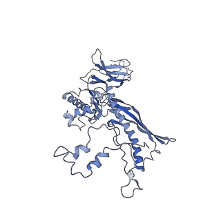 4681_6qz0_7W_v1-0
The cryo-EM structure of the head of the genome empited bacteriophage phi29