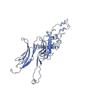 4681_6qz0_7Y_v1-0
The cryo-EM structure of the head of the genome empited bacteriophage phi29