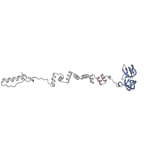 4681_6qz0_7a_v1-0
The cryo-EM structure of the head of the genome empited bacteriophage phi29