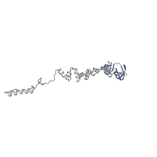 4681_6qz0_7d_v1-0
The cryo-EM structure of the head of the genome empited bacteriophage phi29