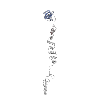 4681_6qz0_7e_v1-0
The cryo-EM structure of the head of the genome empited bacteriophage phi29