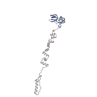 4681_6qz0_7f_v1-0
The cryo-EM structure of the head of the genome empited bacteriophage phi29