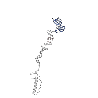 4681_6qz0_7g_v1-0
The cryo-EM structure of the head of the genome empited bacteriophage phi29