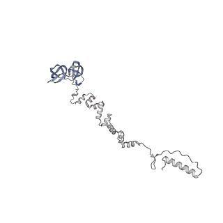 4681_6qz0_7l_v1-0
The cryo-EM structure of the head of the genome empited bacteriophage phi29
