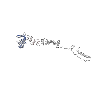 4681_6qz0_7m_v1-0
The cryo-EM structure of the head of the genome empited bacteriophage phi29