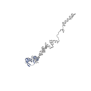 4681_6qz0_7s_v1-0
The cryo-EM structure of the head of the genome empited bacteriophage phi29