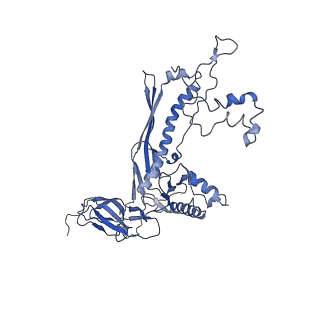 4681_6qz0_8C_v1-0
The cryo-EM structure of the head of the genome empited bacteriophage phi29