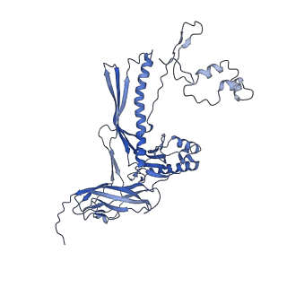 4681_6qz0_8H_v1-0
The cryo-EM structure of the head of the genome empited bacteriophage phi29