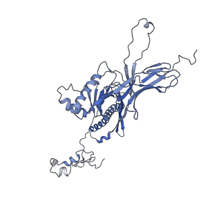 4681_6qz0_8K_v1-0
The cryo-EM structure of the head of the genome empited bacteriophage phi29