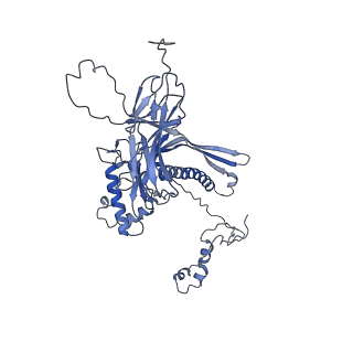 4681_6qz0_8L_v1-0
The cryo-EM structure of the head of the genome empited bacteriophage phi29