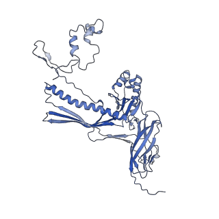 4681_6qz0_8N_v1-0
The cryo-EM structure of the head of the genome empited bacteriophage phi29