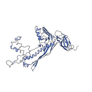 4681_6qz0_8O_v1-0
The cryo-EM structure of the head of the genome empited bacteriophage phi29
