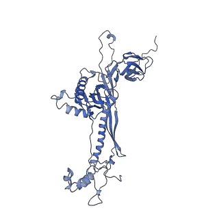 4681_6qz0_8P_v1-0
The cryo-EM structure of the head of the genome empited bacteriophage phi29