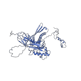 4681_6qz0_8R_v1-0
The cryo-EM structure of the head of the genome empited bacteriophage phi29