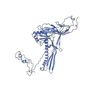 4681_6qz0_8Y_v1-0
The cryo-EM structure of the head of the genome empited bacteriophage phi29