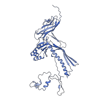 4681_6qz0_8Z_v1-0
The cryo-EM structure of the head of the genome empited bacteriophage phi29
