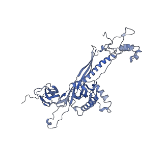 4681_6qz0_8b_v1-0
The cryo-EM structure of the head of the genome empited bacteriophage phi29