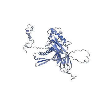 4681_6qz0_8d_v1-0
The cryo-EM structure of the head of the genome empited bacteriophage phi29