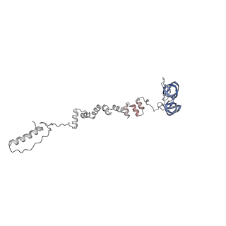 4681_6qz0_8f_v1-0
The cryo-EM structure of the head of the genome empited bacteriophage phi29