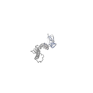 4681_6qz0_8k_v1-0
The cryo-EM structure of the head of the genome empited bacteriophage phi29