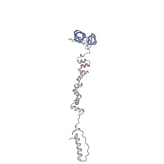 4681_6qz0_8l_v1-0
The cryo-EM structure of the head of the genome empited bacteriophage phi29