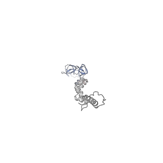 4681_6qz0_8q_v1-0
The cryo-EM structure of the head of the genome empited bacteriophage phi29