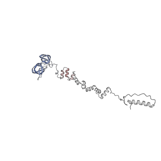 4681_6qz0_8r_v1-0
The cryo-EM structure of the head of the genome empited bacteriophage phi29