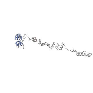 4681_6qz0_8v_v1-0
The cryo-EM structure of the head of the genome empited bacteriophage phi29