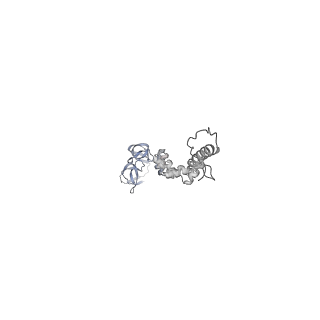 4681_6qz0_8w_v1-0
The cryo-EM structure of the head of the genome empited bacteriophage phi29