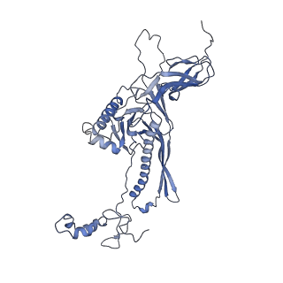 4681_6qz0_9D_v1-0
The cryo-EM structure of the head of the genome empited bacteriophage phi29