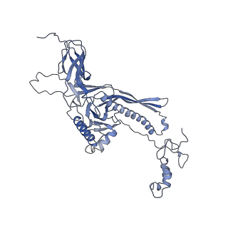 4681_6qz0_9E_v1-0
The cryo-EM structure of the head of the genome empited bacteriophage phi29