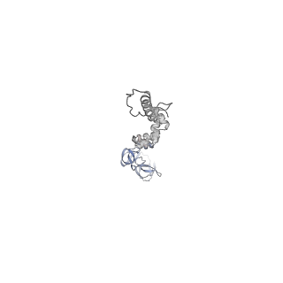 4681_6qz0_9M_v1-0
The cryo-EM structure of the head of the genome empited bacteriophage phi29