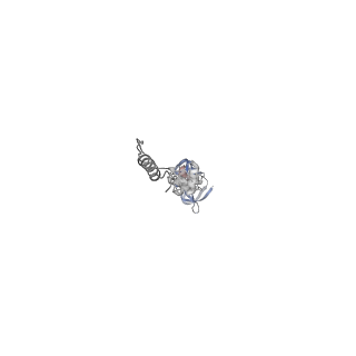 4681_6qz0_9O_v1-0
The cryo-EM structure of the head of the genome empited bacteriophage phi29