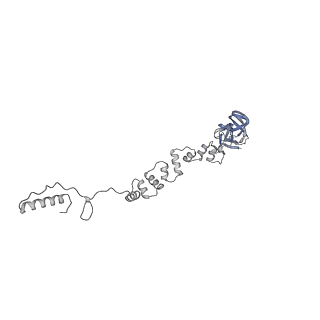 4681_6qz0_9P_v1-0
The cryo-EM structure of the head of the genome empited bacteriophage phi29