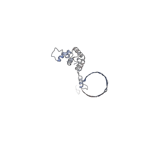 4684_6qz9_0C_v1-0
The cryo-EM structure of the collar complex and tail axis in bacteriophage phi29