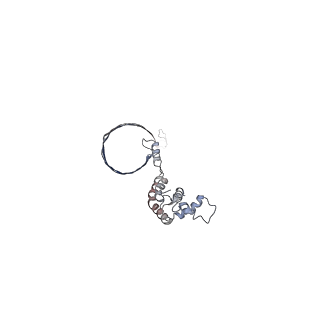 4684_6qz9_0I_v1-0
The cryo-EM structure of the collar complex and tail axis in bacteriophage phi29