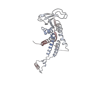 4684_6qz9_0b_v1-0
The cryo-EM structure of the collar complex and tail axis in bacteriophage phi29