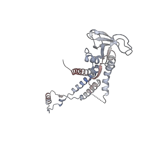 4684_6qz9_0c_v1-0
The cryo-EM structure of the collar complex and tail axis in bacteriophage phi29