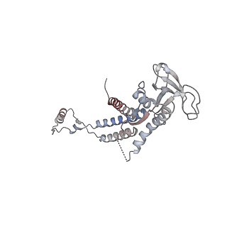 4684_6qz9_0d_v1-0
The cryo-EM structure of the collar complex and tail axis in bacteriophage phi29