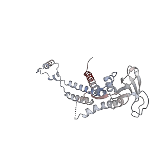 4684_6qz9_0e_v1-0
The cryo-EM structure of the collar complex and tail axis in bacteriophage phi29