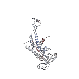 4684_6qz9_0g_v1-0
The cryo-EM structure of the collar complex and tail axis in bacteriophage phi29