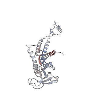 4684_6qz9_0h_v1-0
The cryo-EM structure of the collar complex and tail axis in bacteriophage phi29