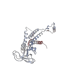 4684_6qz9_0i_v1-0
The cryo-EM structure of the collar complex and tail axis in bacteriophage phi29